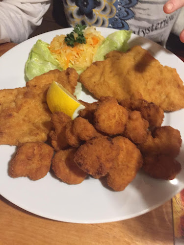 Opinii despre Restaurace -Pension Magdalena în Aš - Gastronomie a pohostinství