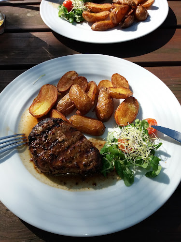 Opinii despre Restaurace Medník în Frýdek-Místek - Gastronomie a pohostinství