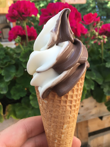 Comentarii opinii despre Zmrzlina Grygov