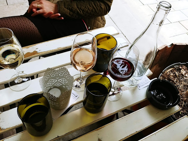 Na břehu Rhôny - Gastronomie a pohostinství