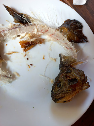 Hospoda pod Zámkem - Gastronomie a pohostinství