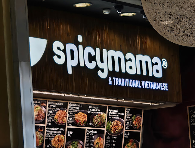spicymama & traditional vietnamese - Praha