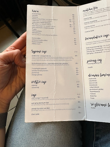 Kočičí kavárna - Plzeň