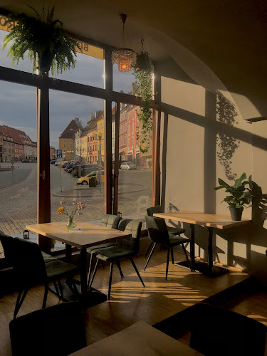 Opinii despre Botanik bistro în Cheb - Gastronomie a pohostinství