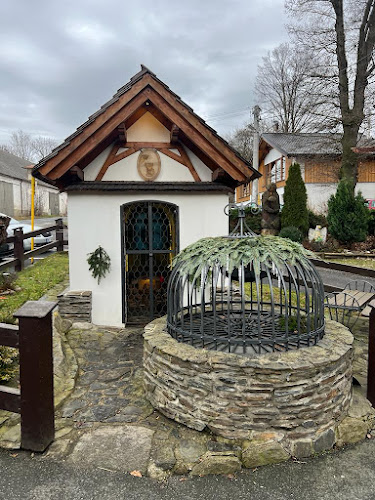 Comentarii opinii despre Country Saloon