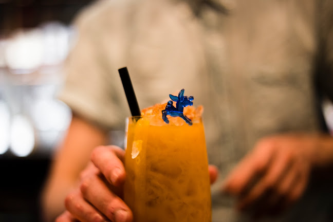 Botanická 605/19, 602 00 Brno-střed