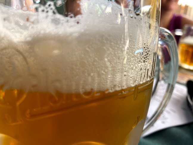 Tkalcovský Dvůr - Gastronomie a pohostinství