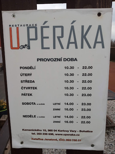 Kamenického 84/15, 360 04 Karlovy Vary 4-Bohatice