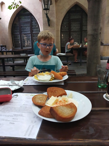 Comentarii opinii despre Restaurace a pivovar U Fleků