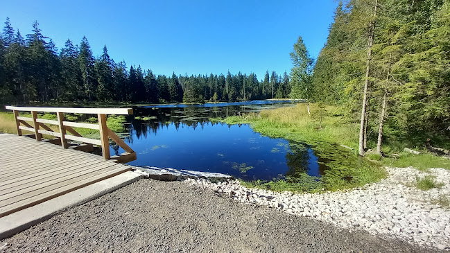 Opinii despre Restaurace a pension U Tetřeva în Kladská - Gastronomie a pohostinství
