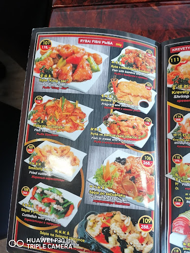 Čínska restaurace HONG 宏 餐厅 - Gastronomie a pohostinství