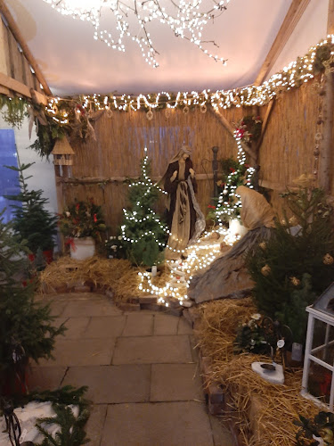 Comentarii opinii despre Restaurace Chládek