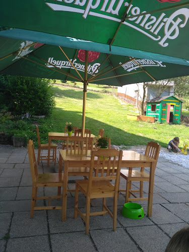 Comentarii opinii despre Restaurace U Červinků