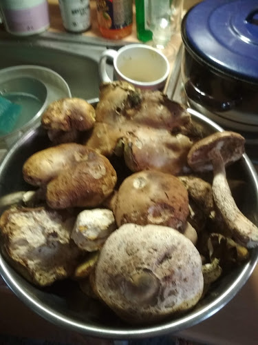 756 27 Valašská Bystřice