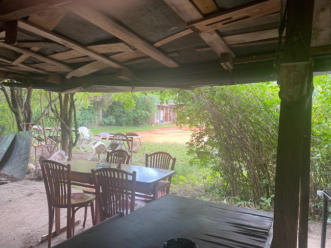 Comentarii opinii despre U Budyho