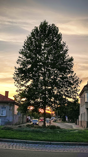 Halíř Bar Prostějov - Gastronomie a pohostinství