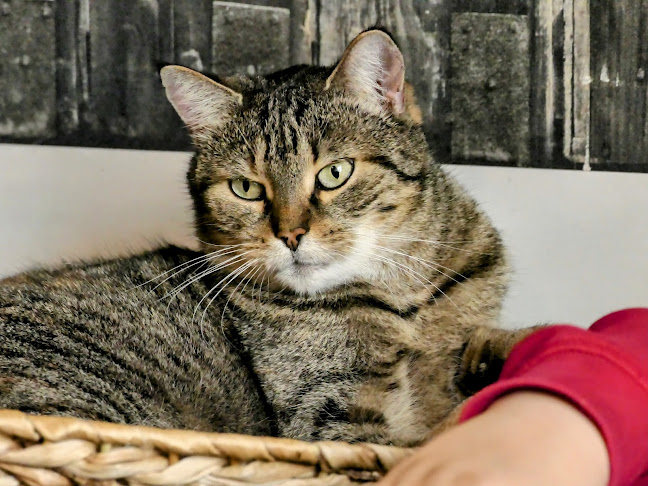 Pražská 72/33, 301 00 Plzeň 3-Východní Předměstí