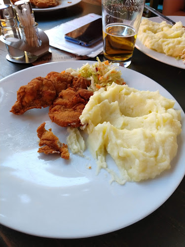 Penzion a hospůdka 21 - Gastronomie a pohostinství