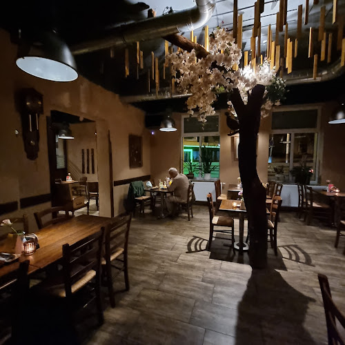 Opinii despre Zlatý Klas ASIA restaurace în Úšovice - Gastronomie a pohostinství