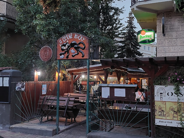 Opinii despre Hospůdka U Černé kočky în Teplice - Gastronomie a pohostinství