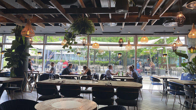 Comentarii opinii despre Dian