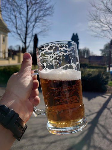 Comentarii opinii despre Restaurace U Parduby