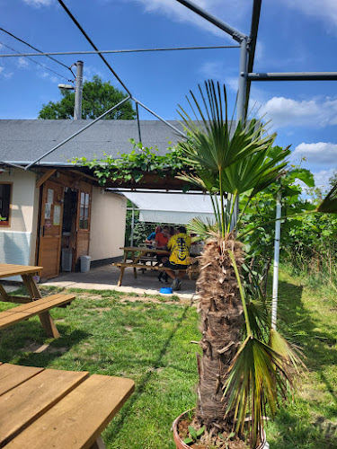 Pivovar Počátky - Gastronomie a pohostinství