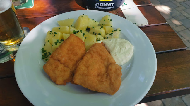 Comentarii opinii despre Restaurace Na Pekařce