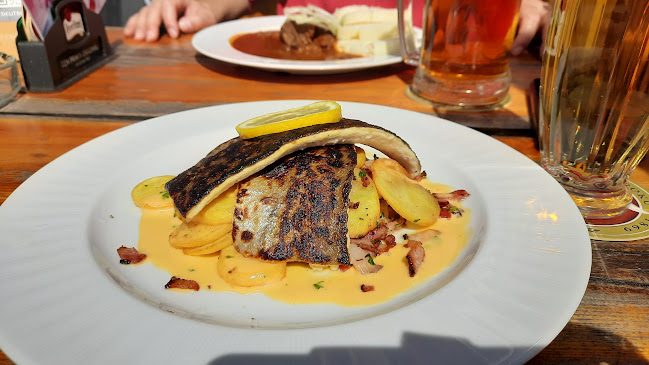 Rodinná Restaurace Pod Lípami - Ústí nad Labem