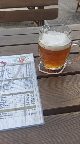 Opinii despre Fryštatská Pivnice Bečky în Fryštát - Gastronomie a pohostinství