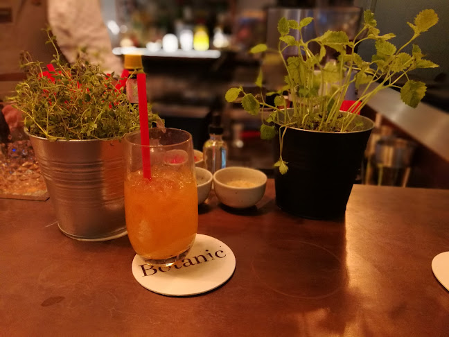 Botanic Bar & Bistro - Gastronomie a pohostinství