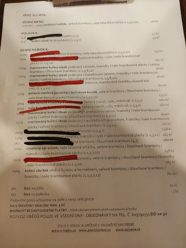 Restaurace a penzion U Hájků - Gastronomie a pohostinství