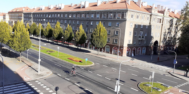 Bar Merlin - Gastronomie a pohostinství