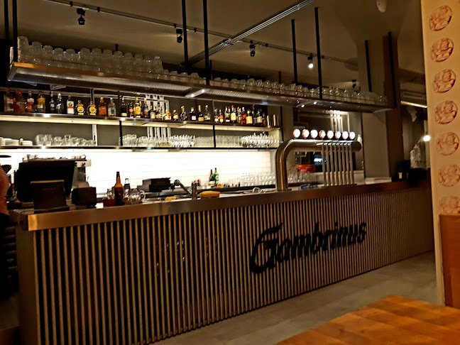 Opinii despre Restaurace - SRDCOVKA KASS în Chodov - Gastronomie a pohostinství