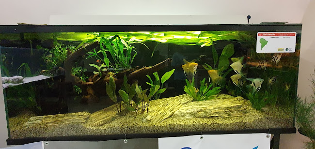 Comentarii opinii despre Hospoda U Vody