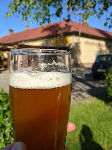 Opinii despre Pivovar a Hospoda Medlešice în Chrudim - Gastronomie a pohostinství