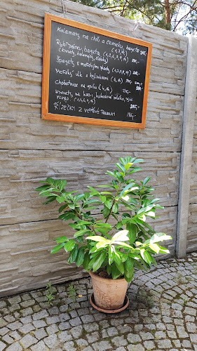 Rakovecká 1385/24, 635 00 Brno-Bystrc