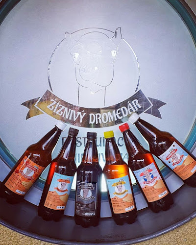 Comentarii opinii despre Žíznivý dromedár - Minipivovar a restaurace Ostrava
