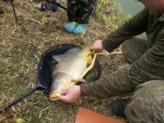 Prodej Ryb - Gastronomie a pohostinství