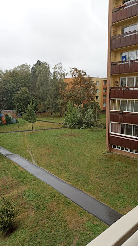 SALOON BIZON - Gastronomie a pohostinství