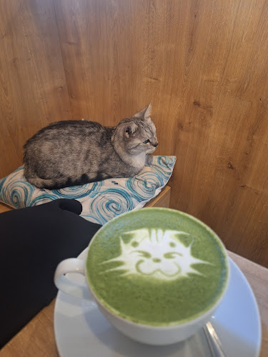 Kavárna Kočičí Praha - Staré Město