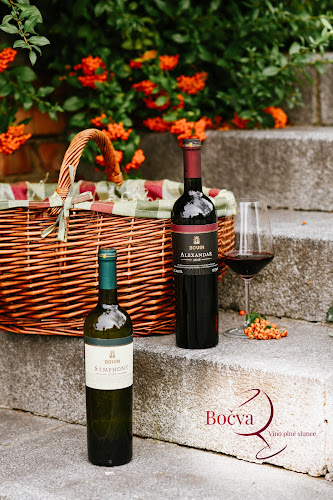 Comentarii opinii despre Bočva