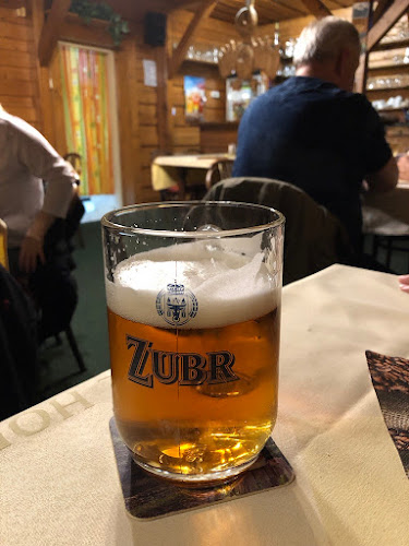 Hadí vrána - Plzeň 1