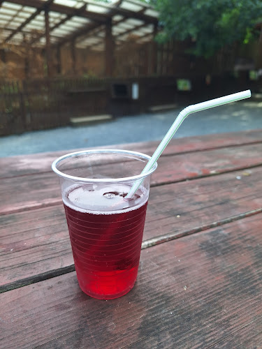 Comentarii opinii despre U Standy