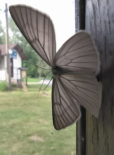 Kiosek U plavčíka - Ústí nad Labem