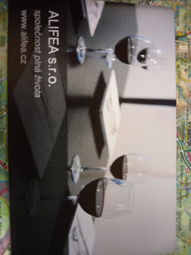 Comentarii opinii despre ALIFEA s.r.o.