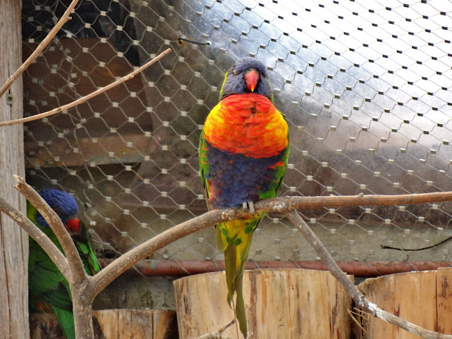 U Trojského zámku, 171 00 Praha-Troja