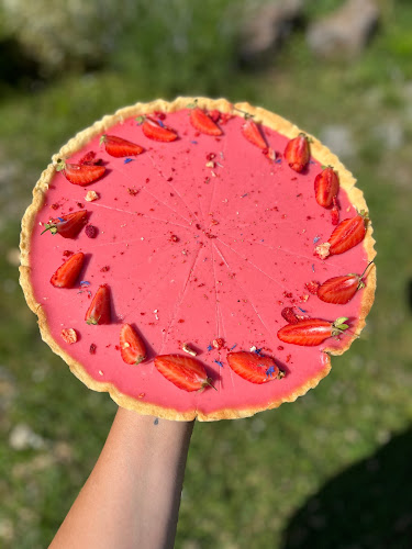 Litoměřická 1069/33, 400 03 Ústí nad Labem-Střekov