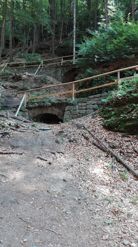 Pension Pastis - Gastronomie a pohostinství