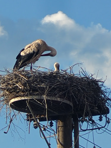 Comentarii opinii despre Restaurace Růže